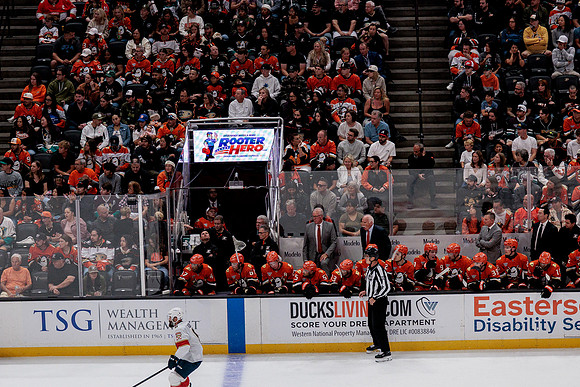 100426_ANAHEIM_DUCKS_RMR10081