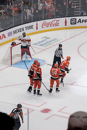 100426_ANAHEIM_DUCKS_RMR11090