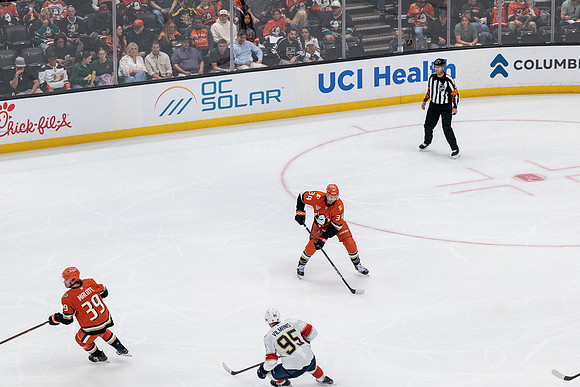 100426_ANAHEIM_DUCKS_RMR11931