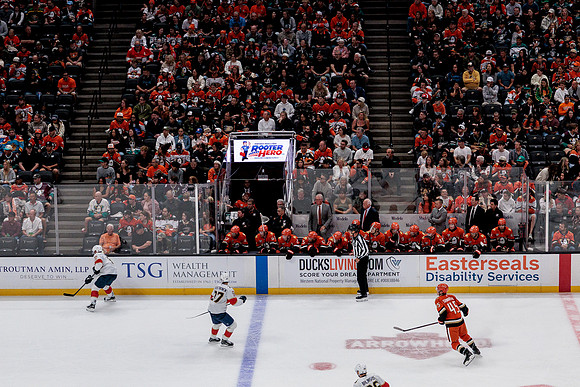 100426_ANAHEIM_DUCKS_RMR10105