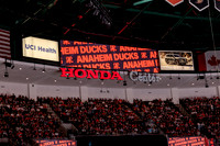 100426_ANAHEIM_DUCKS_RMR17862