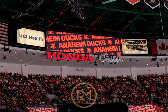 100426_ANAHEIM_DUCKS_RMR17862