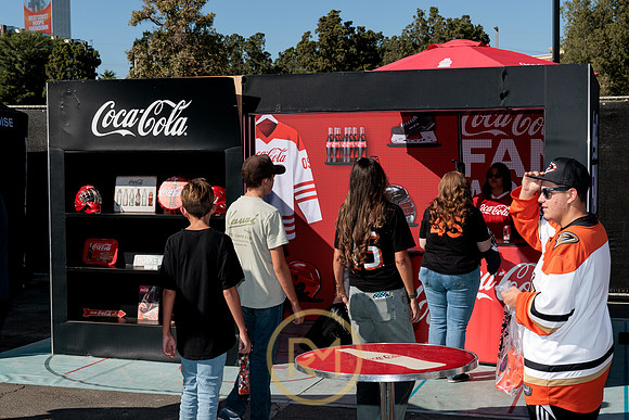 100426_ANAHEIM_DUCKS_RMR11366