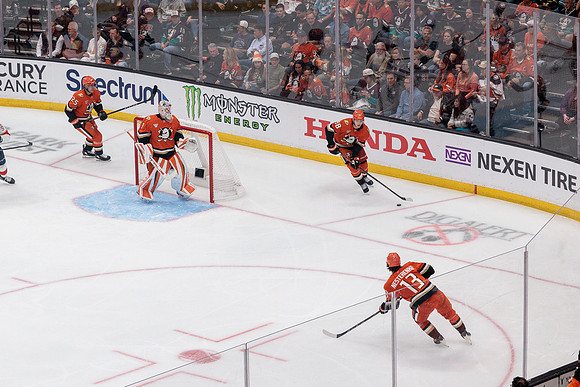 100426_ANAHEIM_DUCKS_RMR11420