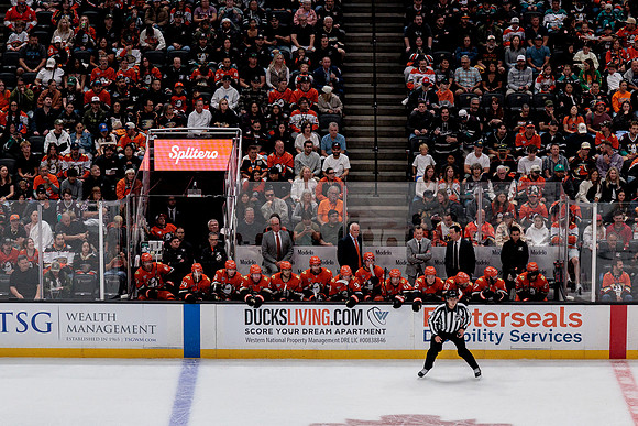 100426_ANAHEIM_DUCKS_RMR18828