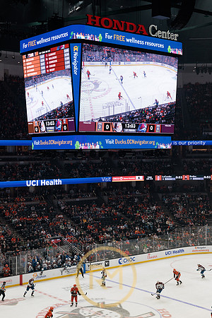 041325_ANAHEIM_DUCKS_101