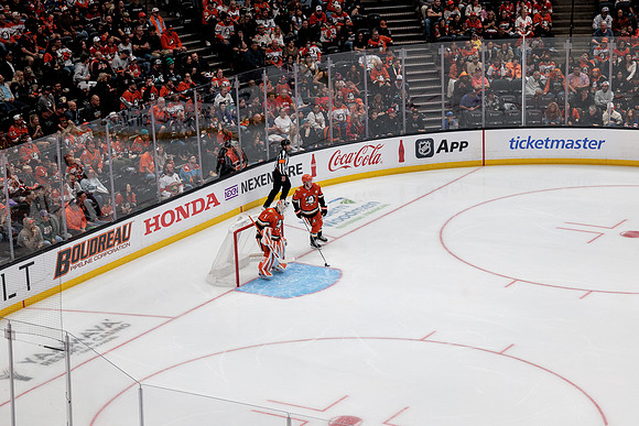 100426_ANAHEIM_DUCKS_RMR17148