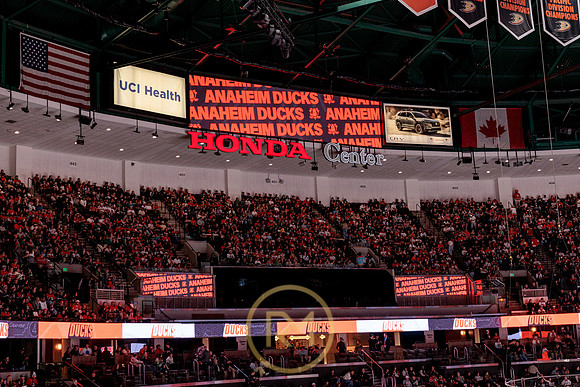 100426_ANAHEIM_DUCKS_RMR17880