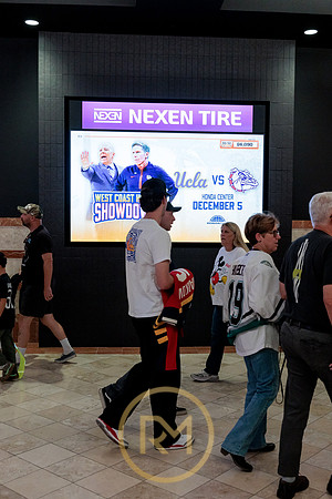 100426_ANAHEIM_DUCKS_RMR11869