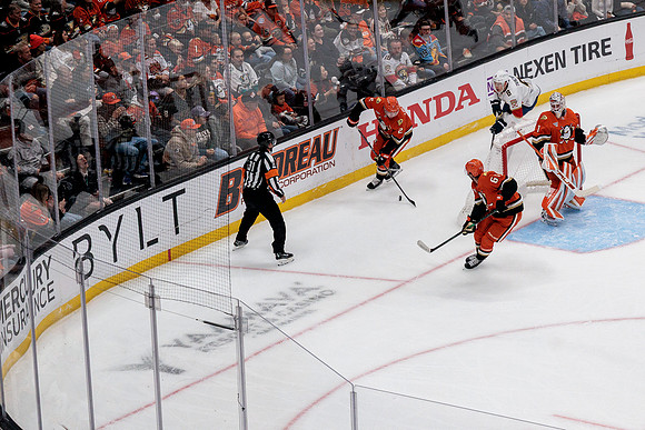 100426_ANAHEIM_DUCKS_RMR10034