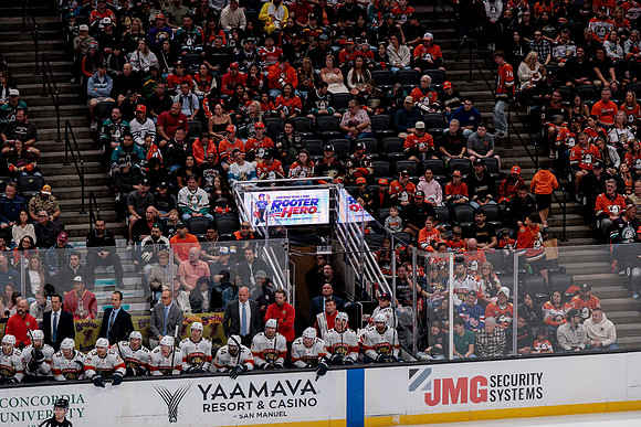 100426_ANAHEIM_DUCKS_RMR10122