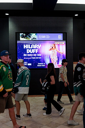 100426_ANAHEIM_DUCKS_RMR12417