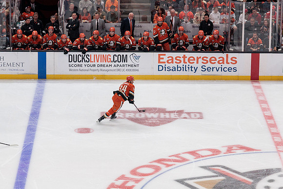 100426_ANAHEIM_DUCKS_RMR11510A