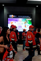100426_ANAHEIM_DUCKS_RMR11995