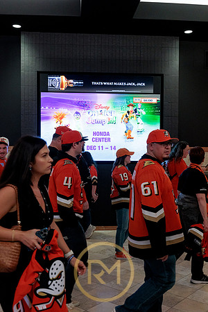 100426_ANAHEIM_DUCKS_RMR11995