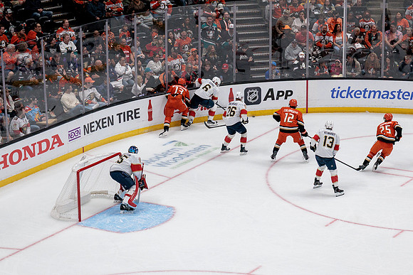 100426_ANAHEIM_DUCKS_RMR12640A