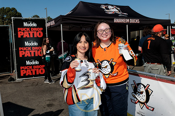 100426_ANAHEIM_DUCKS_RMR11320