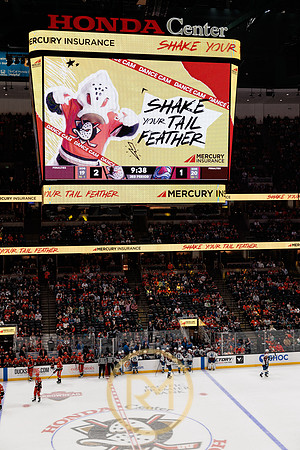 041325_ANAHEIM_DUCKS_391