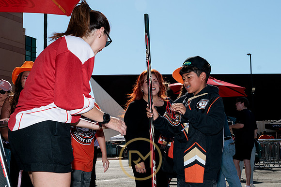 100426_ANAHEIM_DUCKS_RMR11355