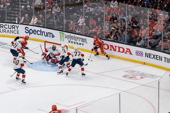 100426_ANAHEIM_DUCKS_RMR19752