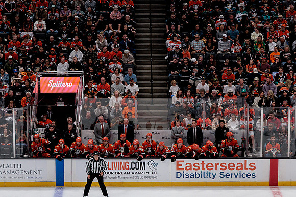 100426_ANAHEIM_DUCKS_RMR18822