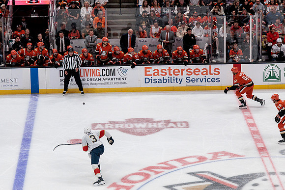 100426_ANAHEIM_DUCKS_RMR12139