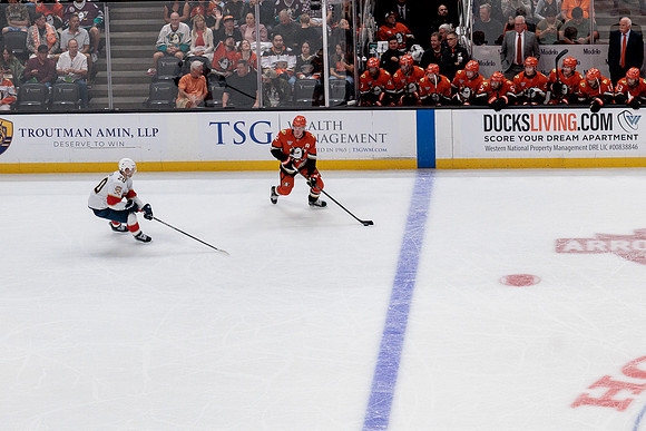 100426_ANAHEIM_DUCKS_RMR19594