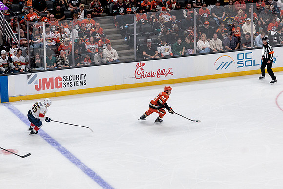 100426_ANAHEIM_DUCKS_RMR11990
