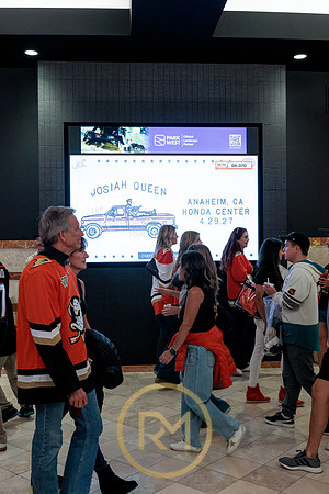 100426_ANAHEIM_DUCKS_RMR12381