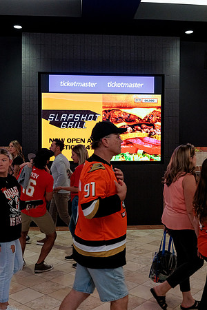100426_ANAHEIM_DUCKS_RMR12794