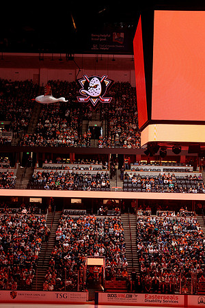 100426_ANAHEIM_DUCKS_RMR16227