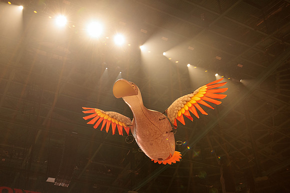 100426_ANAHEIM_DUCKS_RMR16052