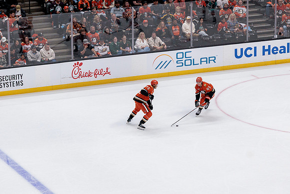 100426_ANAHEIM_DUCKS_RMR10342