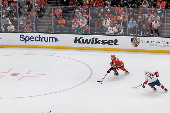 100426_ANAHEIM_DUCKS_RMR11708