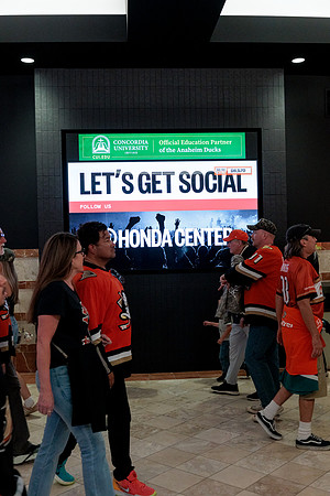 100426_ANAHEIM_DUCKS_RMR13413