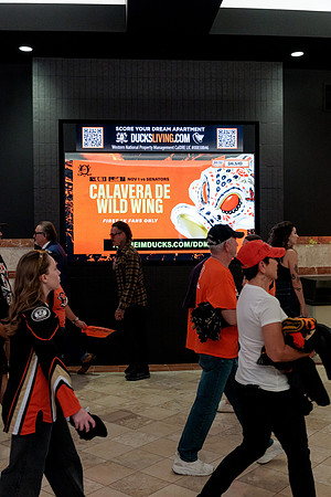 100426_ANAHEIM_DUCKS_RMR12973