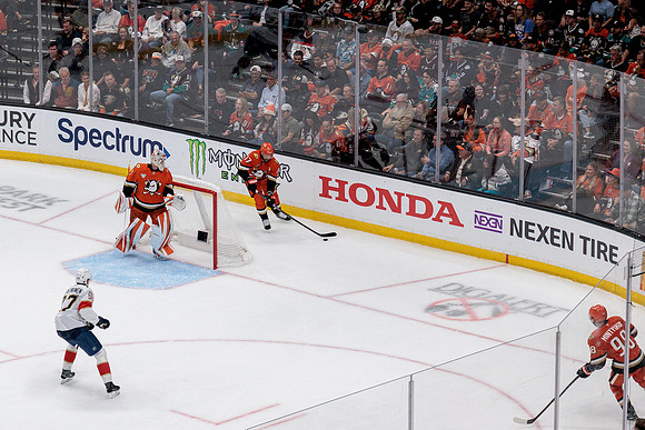100426_ANAHEIM_DUCKS_RMR12808