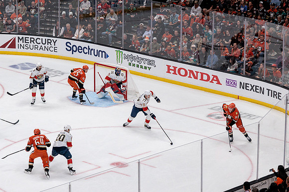 100426_ANAHEIM_DUCKS_RMR19690