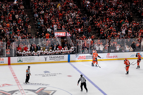 100426_ANAHEIM_DUCKS_RMR19849