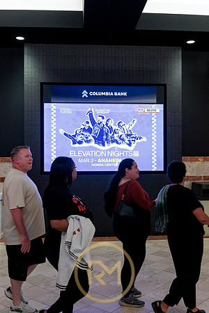 100426_ANAHEIM_DUCKS_RMR12148