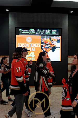 100426_ANAHEIM_DUCKS_RMR11967