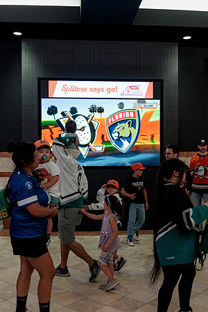 100426_ANAHEIM_DUCKS_RMR12643