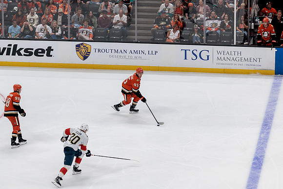 100426_ANAHEIM_DUCKS_RMR17643