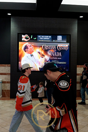100426_ANAHEIM_DUCKS_RMR12027