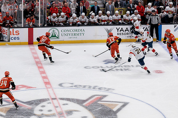 100426_ANAHEIM_DUCKS_RMR18512