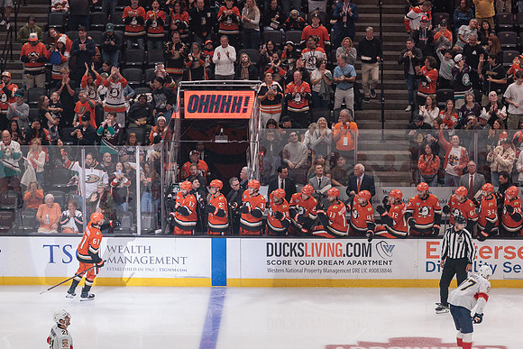 100426_ANAHEIM_DUCKS_RMR11093