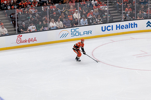 100426_ANAHEIM_DUCKS_RMR12027A