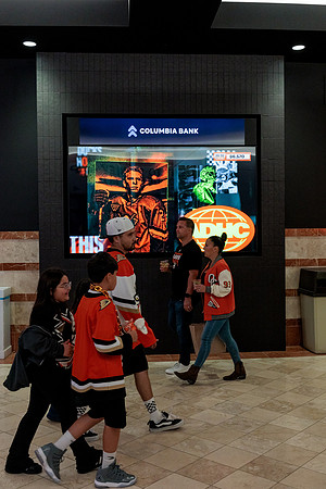 100426_ANAHEIM_DUCKS_RMR13269