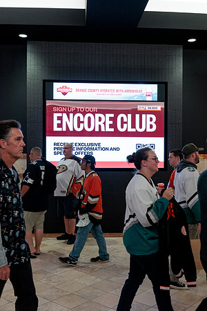 100426_ANAHEIM_DUCKS_RMR13745