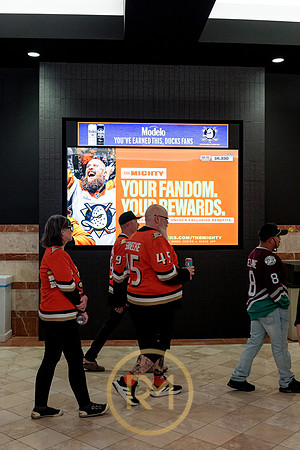 100426_ANAHEIM_DUCKS_RMR12278